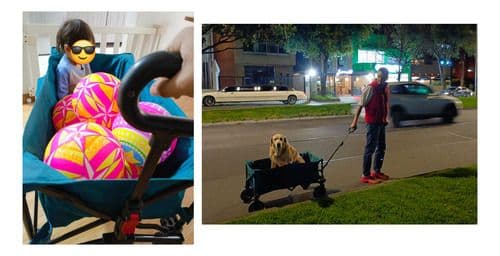 Remolque Plegable Mercado Mascotas Camping Trolley 110kg